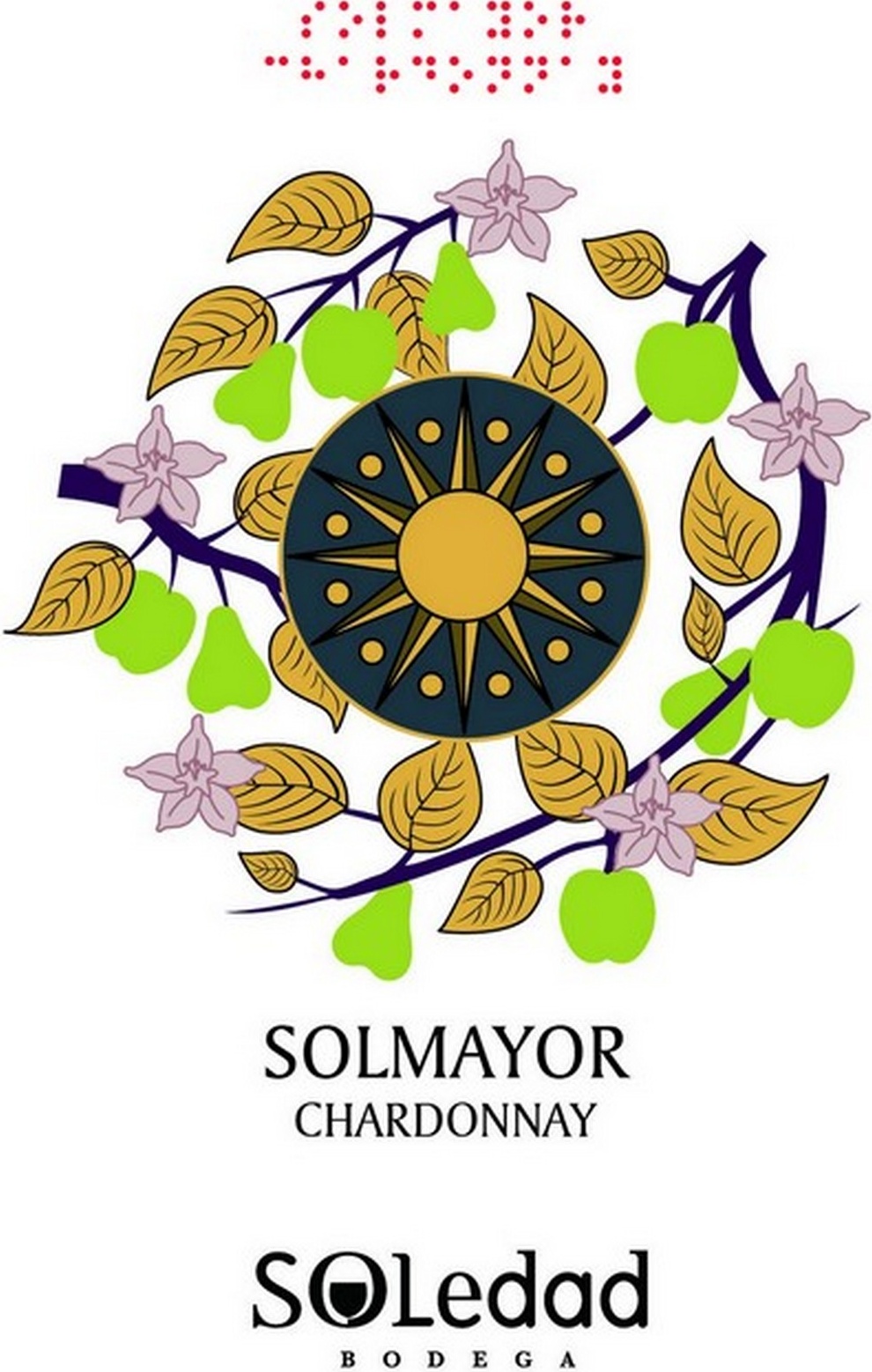 solmayor-chardonnay-2019