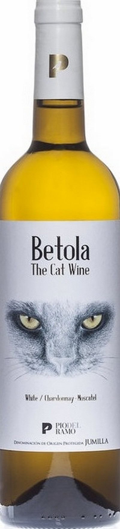 verdejo-the-cat-wine-ecologico-2020